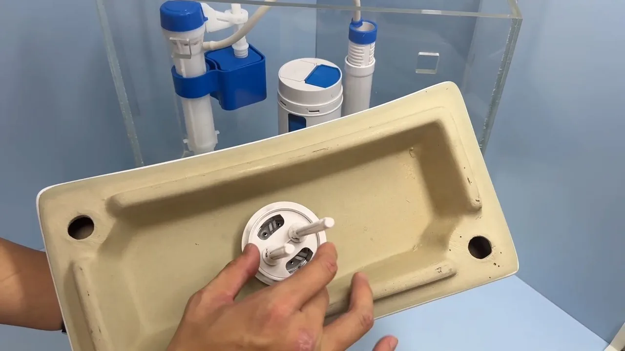 Hands holding a toilet tank lid beside a blue fill valve and a white flush valve inside a clear demo tank