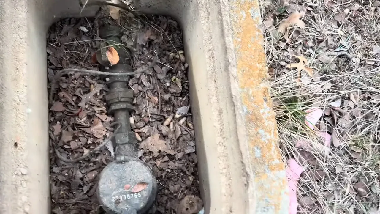 Water meter and a valve sitting in a concrete ground box among dry leaves